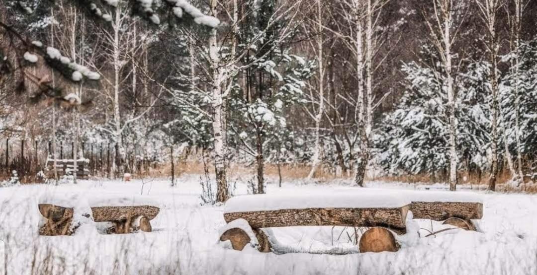 Sosnowy Raj Domki Nad Wkra Popielzyn Dolny Εξωτερικό φωτογραφία