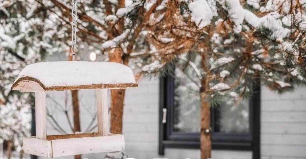 Sosnowy Raj Domki Nad Wkra Popielzyn Dolny Εξωτερικό φωτογραφία